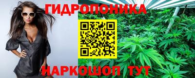COCAINE Бердск